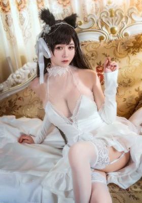 大明王朝1566